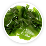 Prostadine reviewProstadine reviews Prostadine Ingredients Prostadine customer review